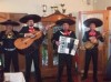 14 de Febrero, el mas romantico de los regalos en el d�a de san Valentin.. Anuncio enviado a www.chileoficios.cl por Mariachis Chile Mexico el 24/1/2012