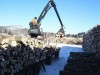 CHOFER PARA CAMION CON GARRA FORESTAL en www.chileoficios.cl
