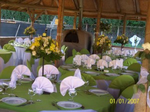 EVENTOS SIGLO XXI  oficios y profesiones en Cerrillos |  Graduaciones,Matrimonios, Bautizos,cumplea&ntilde;os en:www.eventosiglo21.cl, Banqueter&iacute;a integral a&ntilde;o 2009, locales exclusivos