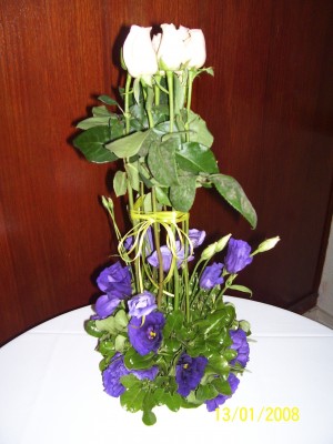 Carolina Creixell oficios y profesiones en Santiago |  BANQUETERIA, GRADUACIONES, DESAYUNOS, MATRIMONIOS CIVILES, ARREGLOS FLORALES, COCKTAIL. 