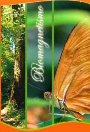 Paola Andrea Gomez Varela oficios y profesiones en Concepci&oacute;n |  Biomagnetismo , tecnica medicinal que aplica imanes en el cuerpo., Alumna del Dr. Goiz, atiende en concepcion , Chile