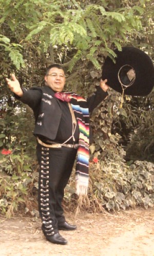 Termoservic oficios y profesiones en Vitacura |  Calderas a gas calefaccion 2219640 multimarcas, Reparaciones, Mantenciones, Instalaciones Ventas  Aut. SEC