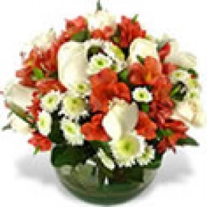 Floreria Rosalinda oficios y profesiones en Santiago |  Regalos para Hombres con despacho a domicilio, Rosas y arreglos Florales, .