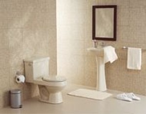 ANDRES SEGUEL oficios y profesiones en Santiago |  REPARACION E INSTALACION DE CALIFONT ,CALEFON ,CALEFONT 08-2526355 ANDRES S, REPARACION E INSTALACION DE CALIFONT ,CALEFON ,CALEFONT 08-2526355 ANDRES S