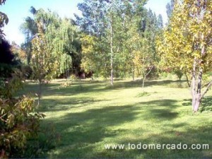 maria teresa oficios y profesiones en Santiago |  hermosa parcela con banqueteria incluida, parcela centrica 9845065