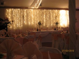 maria teresa oficios y profesiones en Santiago |  banqueteria de calidad a un costo razonable 9845065, todo para su evento maria teresa eventos