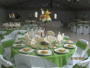 maria teresa oficios y profesiones en Santiago |  banqueteria maria teresa eventos  9845065, salones y parcela con banqueteria fina