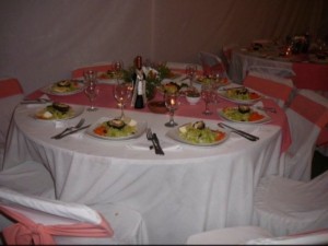 karin oficios y profesiones en Puente Alto |  EVENTOS KARY TE OFRECE ARRIENDO DE CARPA 9X8 Y SERVICIO DE BANQUETERIA, PARA TU MATRIMONIO, CUMPLEA&Ntilde;OS, GRADUACION, DIA ESPECIAL
