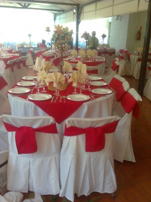 maria teresa oficios y profesiones en Santiago |  banqueteria maria teresa eventos 9845065, matrimonios, garduaciones, bautizos, aniversarios, cocktail, etc