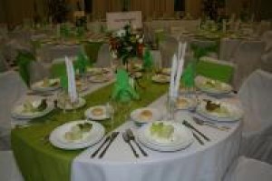 elena oficios y profesiones en Concepci&oacute;n |  BANQUETERO EN CONCEPCION Y ALRREDEDORES???????TENEMOS TODO LO QUE NECESITAS, TRONCOSO Y BRAVO BANQUETERIA/Servicio Integral y Profesional