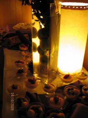 maria teresa oficios y profesiones en Santiago |  banqueteria maria teresa eventos 9845065, matrimonios, graduaciones, aniversarios, bautizos, cocktail, etc..