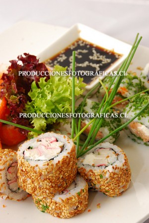 Tania Quezada oficios y profesiones en Santiago |  Fot&oacute;grafa Profesional, Servicio fotogrrsfico Profesional