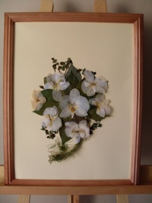  oficios y profesiones en Santiago |  ENMARCA TU RAMO DE NOVIA QUEDAN CONSERVADOS PARA TODA LA VIDA, CONSERVA PARA SIEMPRE TU RAMO DE FLORES DE MATRIMONIO