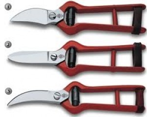 Daniel oficios y profesiones en Santiago |  TIJERAS DE VENDIMIA (AFILO), TIJERAS DE VENDIMIA , PODA , COSECHA Y OTRAS AFILO .