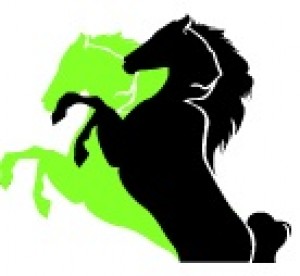 Loscorceles oficios y profesiones en La Florida |  Planchas Met&aacute;licas y techumbres LLame al Cel 93385469 , Construcciones, Ampliaciones, reparaciones, remodelaciones en todo santiago