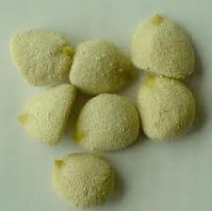 paola oficios y profesiones en Santiago |  Nuez de la india $13000, semillas para adelgazar 100% natural