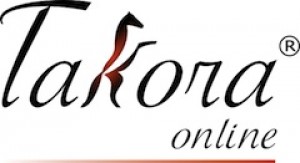  oficios y profesiones en Santiago |  Takora Online: Accesorios y Repuestos de Autos. www.takora.cl (TODO CHILE), Despacho de repuestos y accesorios a todo Chile. Visite www.takora.cl