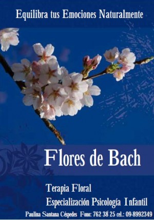 www.floresbach.webnode.cl oficios y profesiones en Providencia |  Flores de Bach, Terapeuta Floral