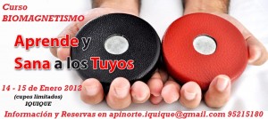 jacqueline zu&ntilde;iga oficios y profesiones en Iquique |  Biomagnetismo y Magnetoterapia, curso de Biomagnetismo y Magnetote Iquique