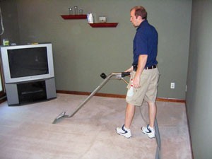 yris ya&ntilde;ez oficios y profesiones en Santiago |  servicios domesticos a domicilio, servicio a domicilios a particulares y empresas