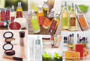 Cecilia oficios y profesiones en Providencia |  NATURA, Vende o adquiere estos maravillosos productos