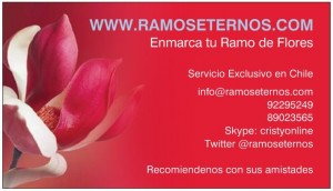  oficios y profesiones en Las Condes |  Conserva tu ramo de novia enmarcado con , cristina Diaz todo Chile