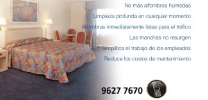 ivan oficios y profesiones en Valpara&iacute;so |  ALADINO - � DESDE 1992 SOLAMENTE LIMPIAMOS ALFOMBRAS EN SECO!, Que no mojen su inversi&oacute;n...