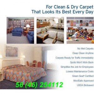 ivan oficios y profesiones en Santo Domingo |  ALADINO - Solamente Limpiamos en SECO - Vi&ntilde;a del Mar, No usamos champ&uacute;, espumas, vapor, espumas secas, agua, NO MOJAMOS