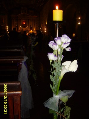 Mauricio Rojas oficios y profesiones en Santiago |  ARREGLOS FLORES NATURALES , RAMOS DE NOVIA, DECORACION MATRIMONIOS, MAURICIO ROJAS - WILMA FUENTES PEINADOS Y MAQUILLAJES A DOMICILIO