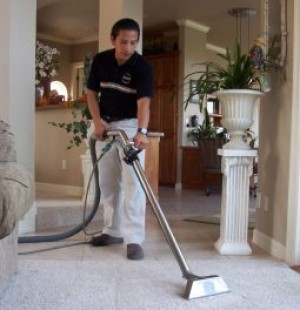 yris ya&ntilde;ez oficios y profesiones en Santiago |  tus alfombras y pisos quedaran como nuevos, servicio a domicilios a particulares y empresas