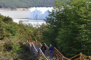 RODOLFO D�AZ MIRANDA oficios y profesiones en Punta Arenas |  TOUR PARA SO&Ntilde;ADORES HAGA REALIDAD CONOZCA EL GLACIAR PERITO MORENO EN, ARGENTINA Y TORRES DEL PAINE GRUPO Y POR EL D&iacute;A turismomercury@gmail.com
