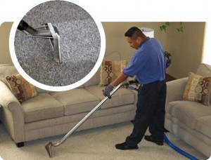 yris ya&ntilde;ez oficios y profesiones en Santiago |  empresa,presta servicios de limpieza, servicio a domicilios a particulares y empresas