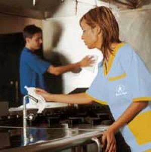 yris oficios y profesiones en Santiago |  cubrimos todas tus necesidades domesticas, servicio a domicilios a particulares y alfombras