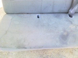 LUIS oficios y profesiones en Vi&ntilde;a del Mar |  Limpieza de tapiz fono 97798674 sillas y sillones quilpue vi&Ntilde;a concon , Limpieza de sillas fono 97798674  sillones y tapices de autos vi&Ntilde;a , concon