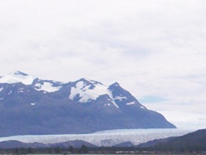 RODOLFO ARTURO D&Itilde;AZ MIRANDA oficios y profesiones en Torres del Paine |  Hacemos tour de navegaciones glaciares tour a torres del payne, A la colonia de pinguinos glaciar perito moreno city tour y mas 