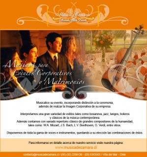 Horacio Silva Duarte oficios y profesiones en Providencia |  Matrimonio acompa&ntilde;ado de m&uacute;sicos en vivo, providencia, M&uacute;sica a solicitud de los novios
