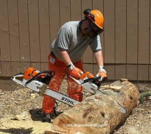 osvaldo oficios y profesiones en Vi&ntilde;a del Mar |  Podas & talas de arboles con con,curuama,re&ntilde;aca, Motosierras,taladores