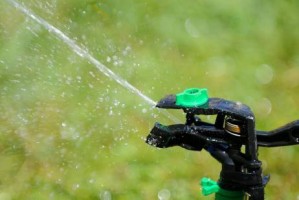 Osvaldo C&aacute;rdenas oficios y profesiones en Vi&ntilde;a del Mar |  Mantenciones de jardiner&iacute;a, fertilizaci&oacute;n, riegos tecnificados , Tecnificaciones, jardiner&iacute;a, decoraci&oacute;n y dise&ntilde;o 