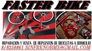 gonzalo oficios y profesiones en Santiago |  reparacion de bicicletas a domicilio, reparacion, mantencion, venta de repuestos y accesorios a domicilio