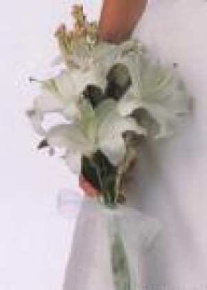 Mauricio Rojas oficios y profesiones en Santiago |  ARREGLOS FLORES NATURALES , RAMOS DE NOVIA, DECORACION MATRIMONIOS, MAURICIO ROJAS - WILMA FUENTES PEINADOS Y MAQUILLAJES A DOMICILIO