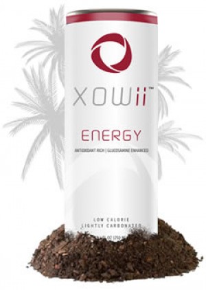 Jose Lladser oficios y profesiones en &Ntilde;u&ntilde;oa |  �La oportunidad de trabajo que estabas buscando!, Empresa de multinivel con solo 4 meses de existencia en todo el mundo