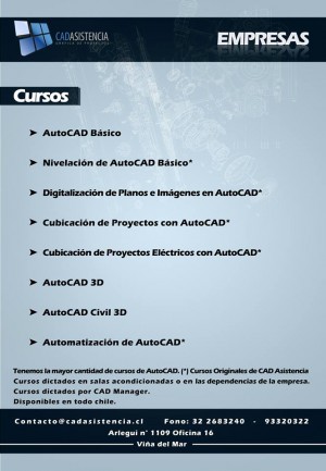 Lino Castillo oficios y profesiones en Vi&ntilde;a del Mar |  Capacitaci&oacute;n de autocad para empresas santiago y regiones, Cursos autocad