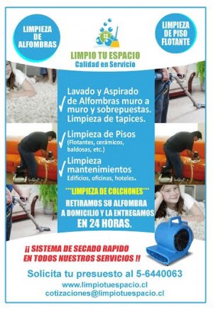 Carolina Castillo oficios y profesiones en Las Condes |  Limpieza de sofas, sillones, sitiales, sillas  en todo santiago, &ntilde;u&ntilde;oa, providencia,las condes, vitacura, la florida, macul, pe&ntilde;alolen,