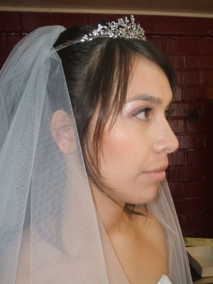 Peinados Domicilio oficios y profesiones en La Florida |  PELUQUERIA A DOMICILIO, PEINADO, MAQUILLAJE NOVIA A DOMICILIO