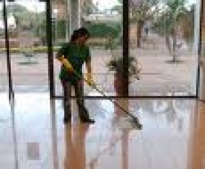 yris ya&ntilde;ez oficios y profesiones en Santiago |  servicios domesticos full time, servicio a domicilios a particulares y empresas