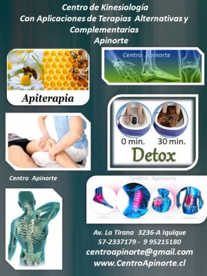 Centro Apinorte oficios y profesiones en Iquique |  Kinesiologia apiterapia desintoxicacion ionica iquique tratamientos iq, Kinesiologia apiterapia desintoxicacion en iquique