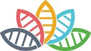 Consultores en Medio Ambiente oficios y profesiones en Providencia |  Asesoria en flora y vegetacion consultores ambientales en chile, Consultores ambientales santiago de chile