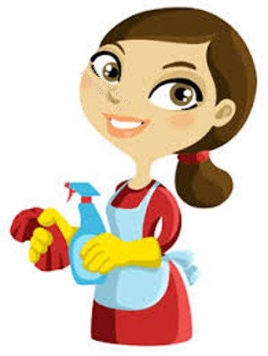 Johanna Paz oficios y profesiones en Santiago |  Ofrezco servicio de aseo en domicilio en santiago  , Aseo en casa ante jardin cuidado de ni&ntilde;os