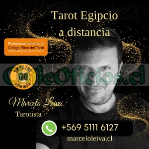 Marcelo leiva  oficios y profesiones en Iquique |  Encuentre esa respuesta con el tarot. lectura de tarot, Lectura de tarot