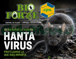Bioforte oficios y profesiones en Puerto Montt |  Bioforte control de plagas en puerto montt y region de los lagos, Control de plagas en todo el sur de chile